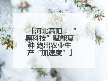 河北高阳：“黑科技”赋能夏种 跑出农业生产“加速度”