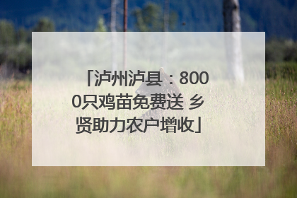 泸州泸县：8000只鸡苗免费送 乡贤助力农户增收