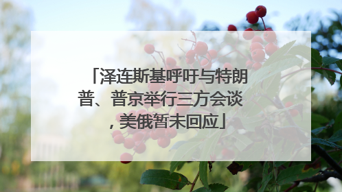 泽连斯基呼吁与特朗普、普京举行三方会谈，美俄暂未回应