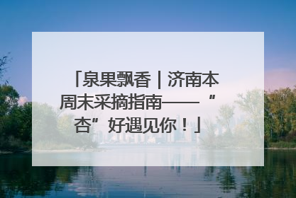 泉果飘香｜济南本周末采摘指南——“杏”好遇见你！