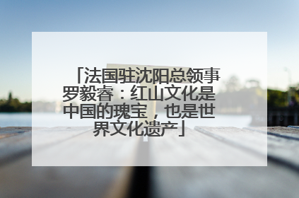 法国驻沈阳总领事罗毅睿：红山文化是中国的瑰宝，也是世界文化遗产