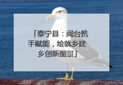 泰宁县：闽台携手赋能，绘就乡建乡创新图景