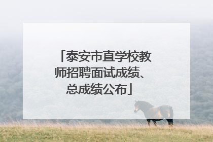 泰安市直学校教师招聘面试成绩、总成绩公布