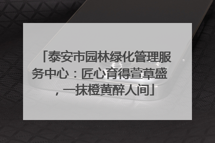 泰安市园林绿化管理服务中心：匠心育得萱草盛，一抹橙黄醉人间