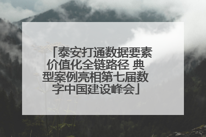 泰安打通数据要素价值化全链路径 典型案例亮相第七届数字中国建设峰会