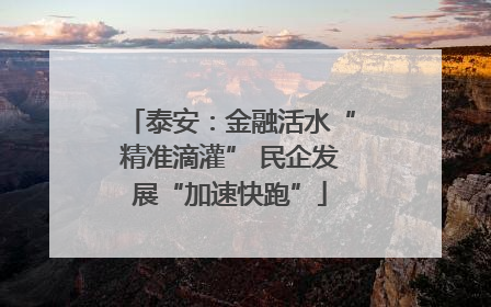泰安：金融活水“精准滴灌” 民企发展“加速快跑”