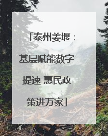 泰州姜堰：基层赋能数字提速 惠民政策进万家