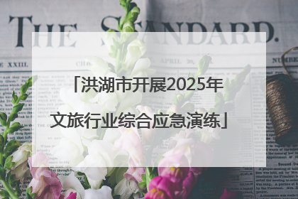 洪湖市开展2025年文旅行业综合应急演练