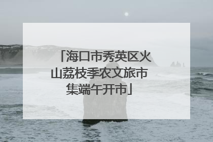 海口市秀英区火山荔枝季农文旅市集端午开市