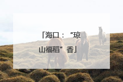 海口：“琼山福稻”香