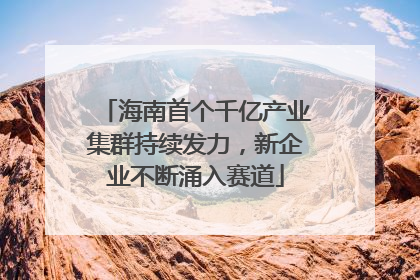海南首个千亿产业集群持续发力，新企业不断涌入赛道