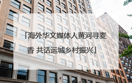 海外华文媒体人黄河寻麦香 共话运城乡村振兴