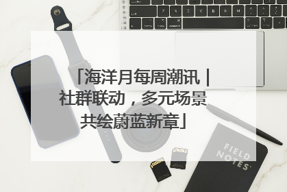 海洋月每周潮讯｜社群联动，多元场景共绘蔚蓝新章
