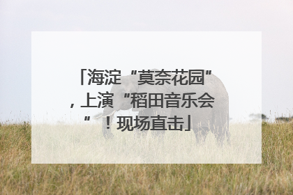 海淀“莫奈花园”，上演“稻田音乐会”！现场直击