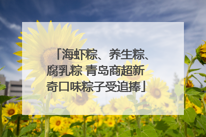 海虾粽、养生粽、腐乳粽 青岛商超新奇口味粽子受追捧
