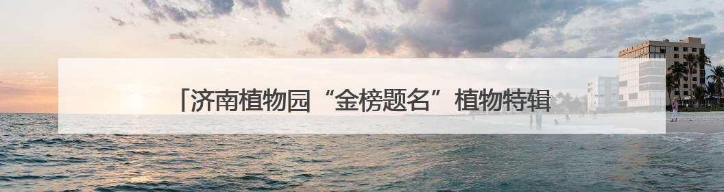 济南植物园“金榜题名”植物特辑——为中高考学子送上自然祝福！