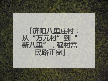 济阳八里庄村：从“万元村”到“新八里”，强村富民路正宽
