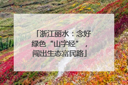 浙江丽水：念好绿色“山字经”，闯出生态富民路