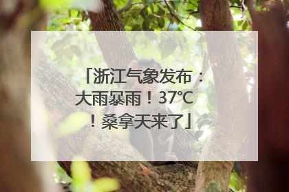 浙江气象发布：大雨暴雨！37℃！桑拿天来了