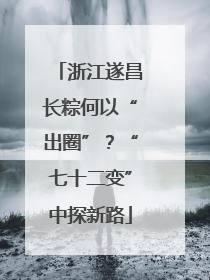浙江遂昌长粽何以“出圈”？“七十二变”中探新路