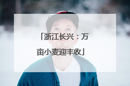 浙江长兴：万亩小麦迎丰收