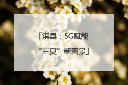 淇县：5G赋能“三夏”新图景