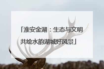 淮安金湖：生态与文明共绘水韵湖城好风景