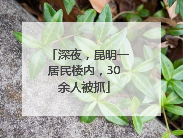 深夜，昆明一居民楼内，30余人被抓