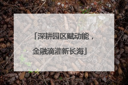 深耕园区赋动能，金融滴灌新长海
