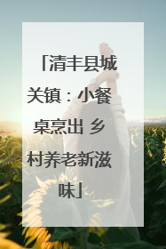 清丰县城关镇：小餐桌烹出 乡村养老新滋味