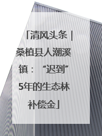 清风头条｜桑植县人潮溪镇：“迟到”5年的生态林补偿金