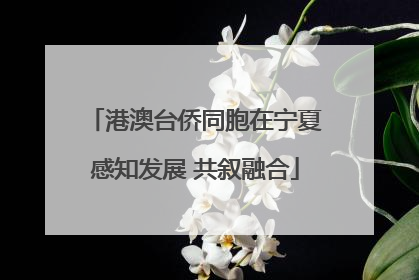 港澳台侨同胞在宁夏感知发展 共叙融合