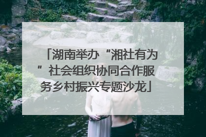 湖南举办“湘社有为”社会组织协同合作服务乡村振兴专题沙龙