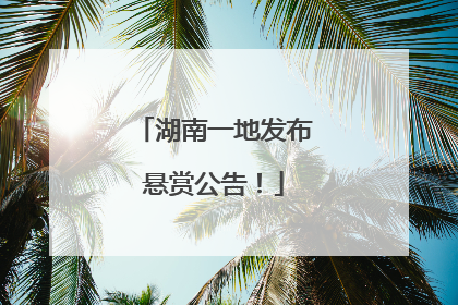 湖南一地发布悬赏公告！