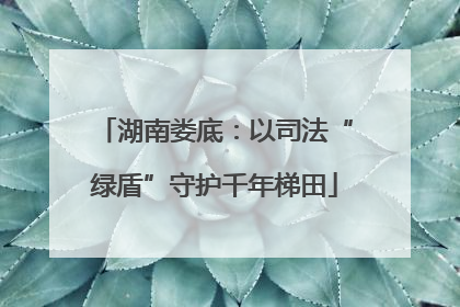 湖南娄底:以司法“绿盾”守护千年梯田