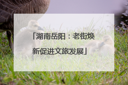 湖南岳阳：老街焕新促进文旅发展