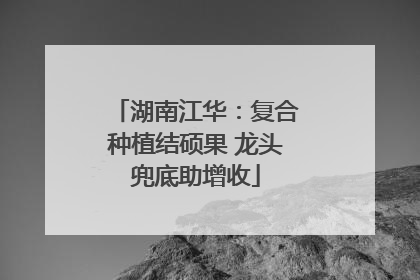 湖南江华：复合种植结硕果 龙头兜底助增收