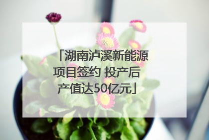 湖南泸溪新能源项目签约 投产后产值达50亿元