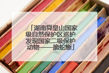 湖南舜皇山国家级自然保护区巡护发现国家二级保护动物——脆蛇蜥