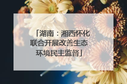 湖南：湘西怀化联合开展改善生态环境民主监督