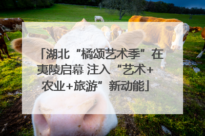 湖北“橘颂艺术季”在夷陵启幕 注入“艺术+农业+旅游”新动能