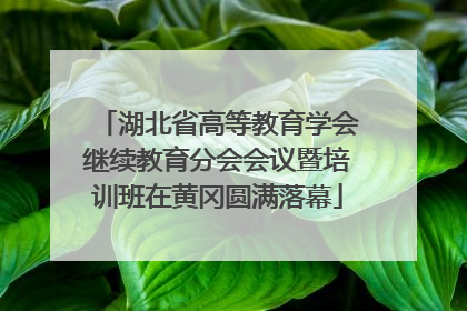 湖北省高等教育学会继续教育分会会议暨培训班在黄冈圆满落幕