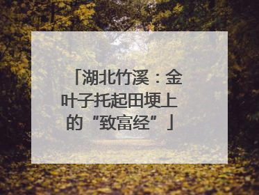 湖北竹溪：金叶子托起田埂上的“致富经”