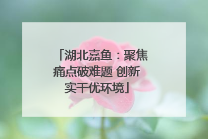 湖北嘉鱼：聚焦痛点破难题 创新实干优环境