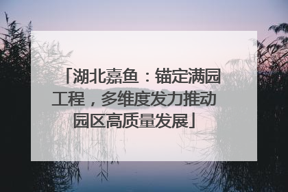 湖北嘉鱼：锚定满园工程，多维度发力推动园区高质量发展