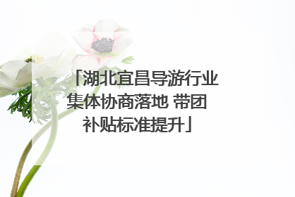 湖北宜昌导游行业集体协商落地 带团补贴标准提升