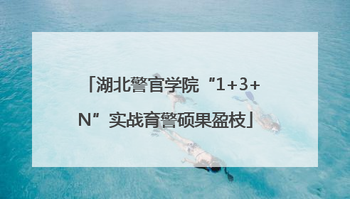 湖北警官学院“1+3+N”实战育警硕果盈枝