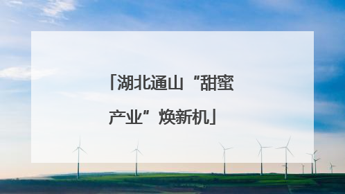 湖北通山“甜蜜产业”焕新机