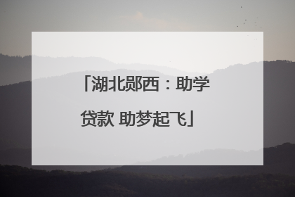 湖北郧西：助学贷款 助梦起飞