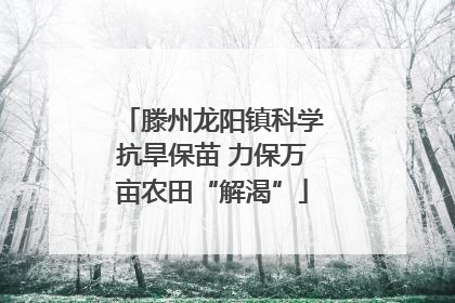 滕州龙阳镇科学抗旱保苗 力保万亩农田“解渴”